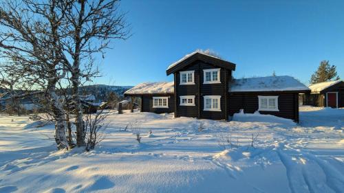 Al Municipality Casa | Mountain Cabin With Ski Trails At Sangefjell