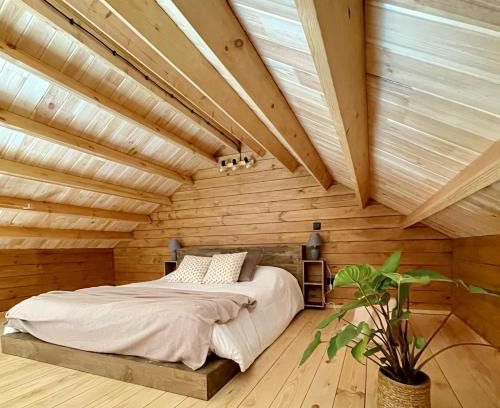 Monte Otro | Mountain Eco Shelter 5