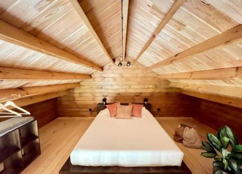 Monte Otro | Mountain Eco Shelter 8