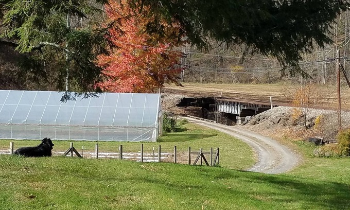Sylva Casa | Vida en la montaña en la granja junto al arroyo con pesca