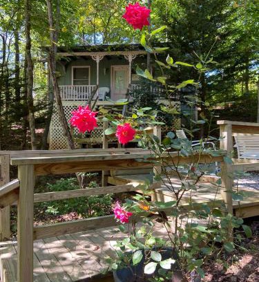 Blairsville Casa | Mountain Rose