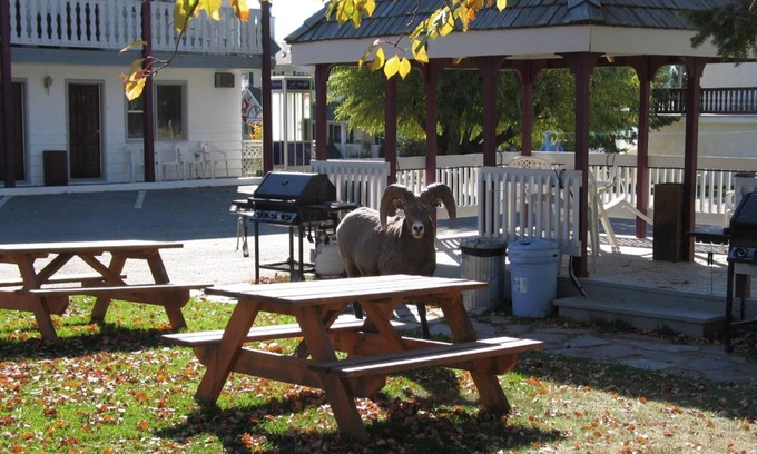 East Kootenay Hotel | Mountain Springs Motel