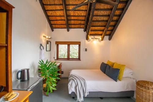 Paarl Apartamento | Mountain View and Vineyard View
