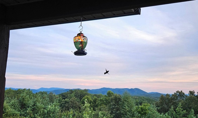 Murphy Cabina | Mountain Views All Year! Charming 3-Bed Cabin Just Minutes from Downtown