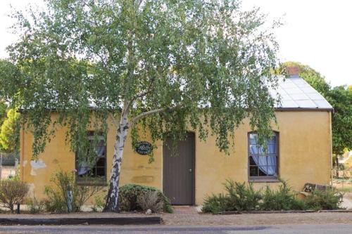 Penola Casa | Mr Wilson’s on Petticoat Lane
