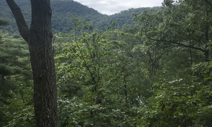 Weaverville Casa | Mtn. Escapada: cierre el Blue Ridge Pkwy (1)