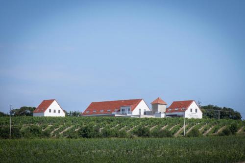 Sedlec Apartamento | Mušlovské Vinohrady