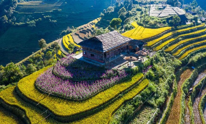 Mu Cang Chai Casa | Mu Cang Chai Big view homestay, tour & vegetarian