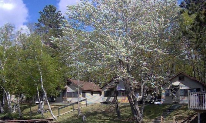 Lewiston Cabina | Complejo de cabañas múltiples - West Twin Lake