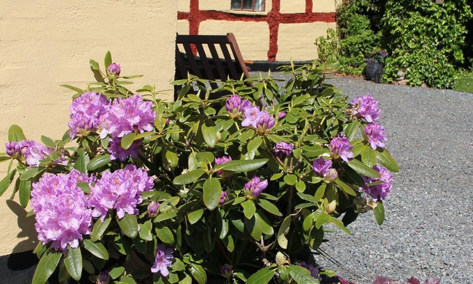 Borkop Cama Y Desayuno | Munkebjerg Bed & Breakfast