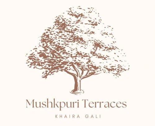 Dhirkot Cama Y Desayuno | Mushkpuri Terraces - Khaira Gali