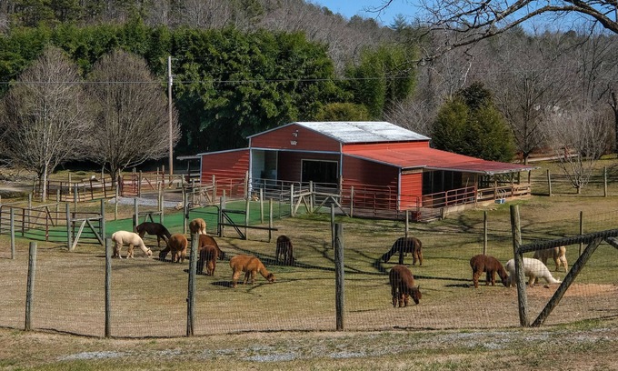 Murphy Cabina | *MUST SEE* Cobb Creek Cabins at the Historic Cobb Family Estate