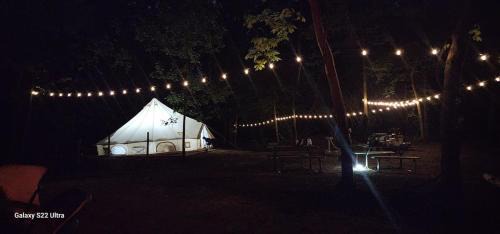 South Bend Otro | Mustang Sally's Park