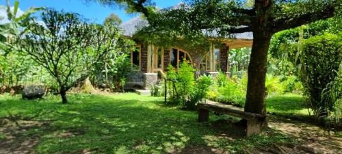 Western Region Casa | Mutolere Coffee Pot Guest Houses