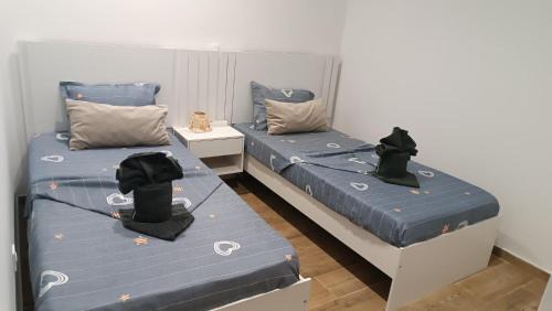 Sal Rei Apartamento | My Boavista 2