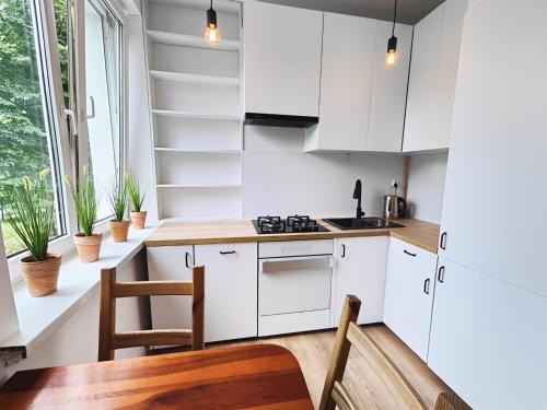 Wzgorze Swietego Maksymiliana Apartamento | My FAVORITE flat