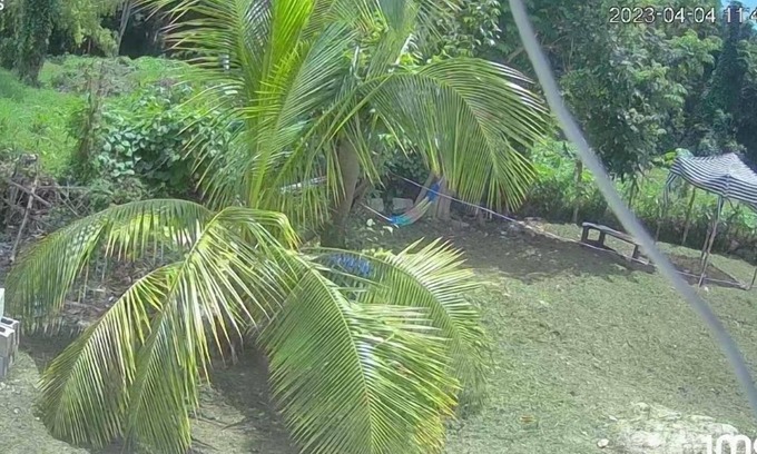 Negril Cabina | My Little Cabin In Negril 2 Bedroom Cabin by RedAwning