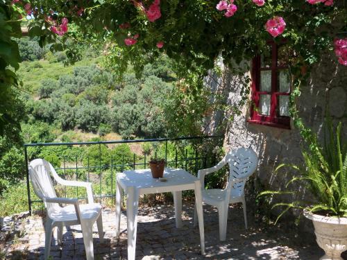 Barracao Casa | My Room – Villa Vina ® - TER