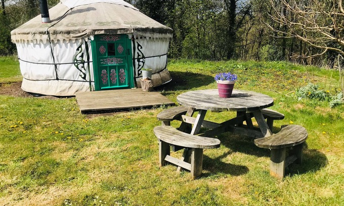 Guisborough Cabina | Myrtle, a cosy Mongolian yurt, nestled in field and woodland surroundings