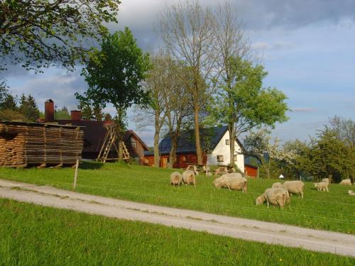 Paseky nad Jizerou Casa | Na Zvonici