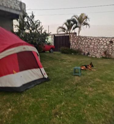 Texcalpan Otro | Nada y acampa con tus perritos
