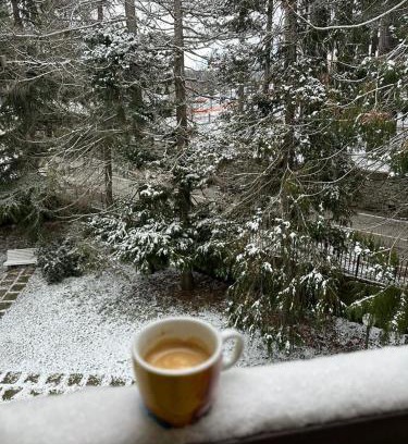 Camigliatello Apartamento | NadSan Mountain House