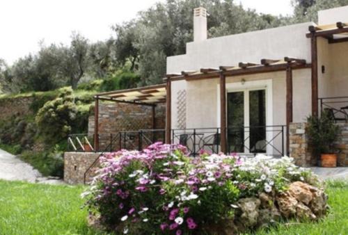 Karystos Apartamento | Naiades Villas