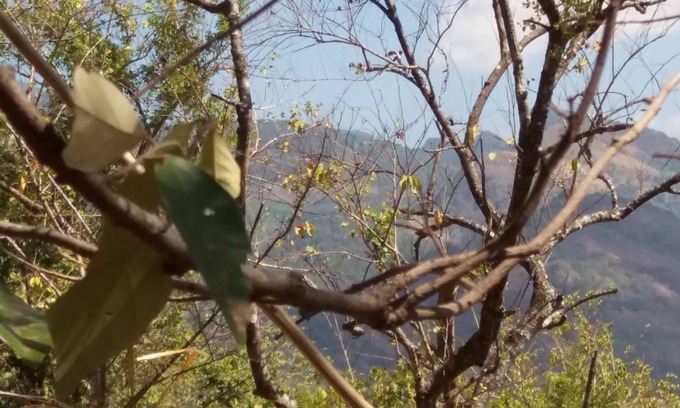 Madawala Alquiler De RV | Nalanda Relaxation And Caping Site