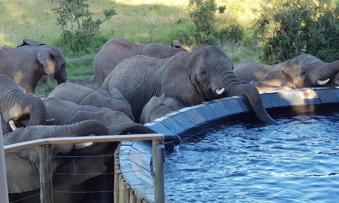 Ladysmith Cabina | Nambiti Plains Lodge