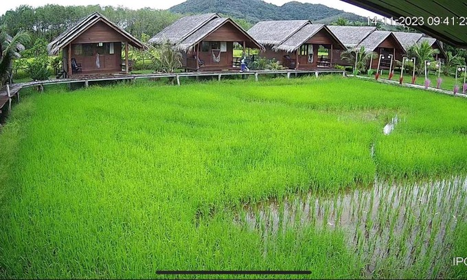 Ko Yao Casa | NammNatawn2