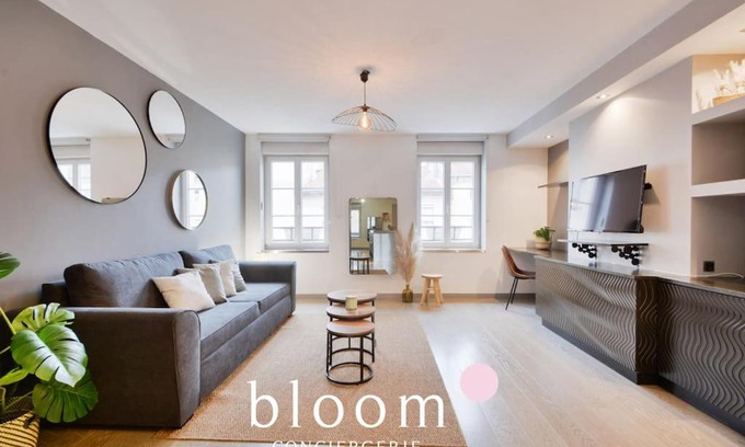 Poincare - Foch - Anatole France - Croix de Bourgogne Apartamento | Nancy : Superbe F3 80m2 Centre Gare 6 Voyageurs