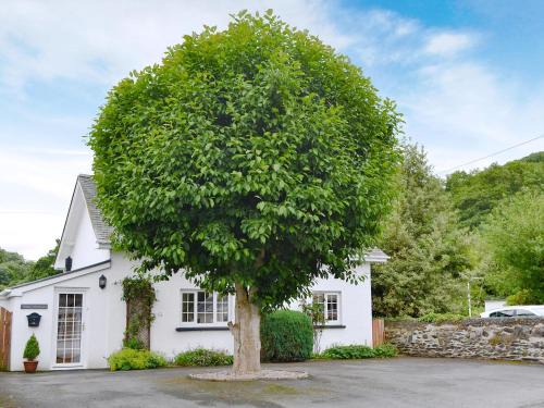 Borth Casa | Nant Y Bwthyn