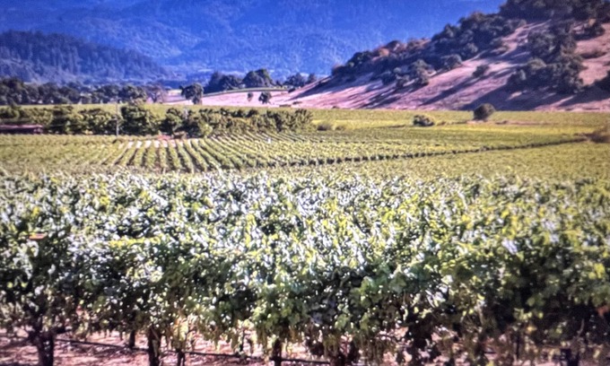 Napa Complejo | Napa, CA Sept 14-18, 2023 offers an on-site Golf, Wineries, Spa, Pool...