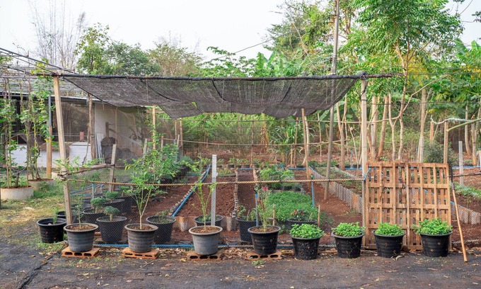 Kanchanaburi Hotel | Narucha Farmstay