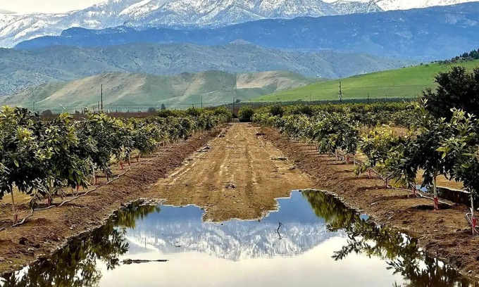 Exeter Casa | National Parks, Pool, Beloved Home Among the Orchards in Delightful Exeter