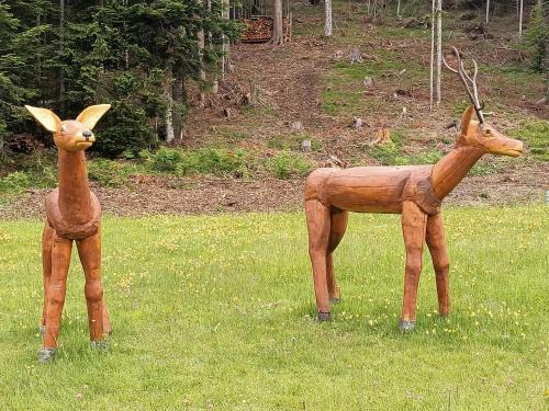 Danta di Cadore Apartamento | Natura e comfort
