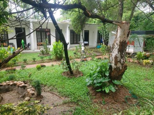 Sigiriya Hotel | Nature Bird Paradise Hotel Sigiriya