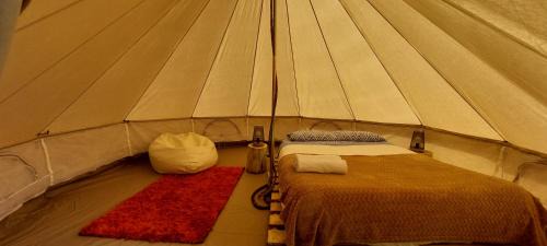 Porto Moniz Otro | Nature Retreat - Laurel Forest