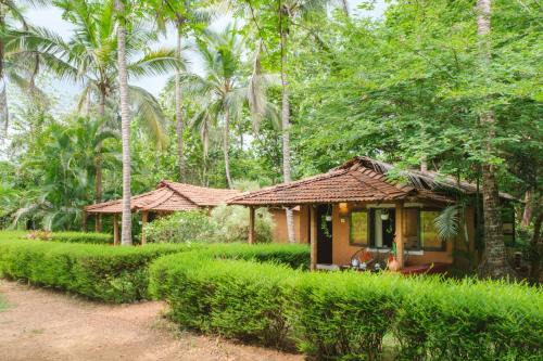 Sancordem Otro | Nature's Nest Eco Resort Goa, Near Dudhsagar Waterfalls
