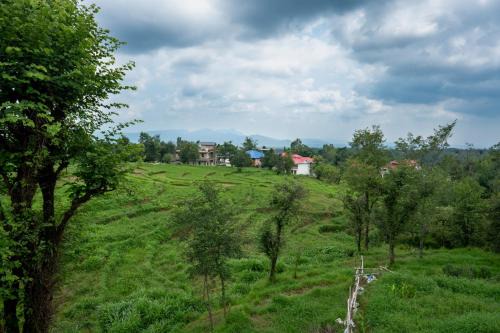 Palampur Casa | Nature's View Kandwari
