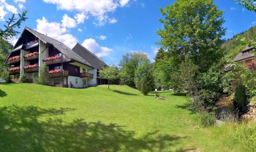 Menzenschwand-Hinterdorf Apartamento | Naturidyll am Fluß - Ferienhaus Albmatte - großer Garten zum grillen und entspannen-direkt neben dem Radon Revitalbad mit Sauna und Thermalbecken