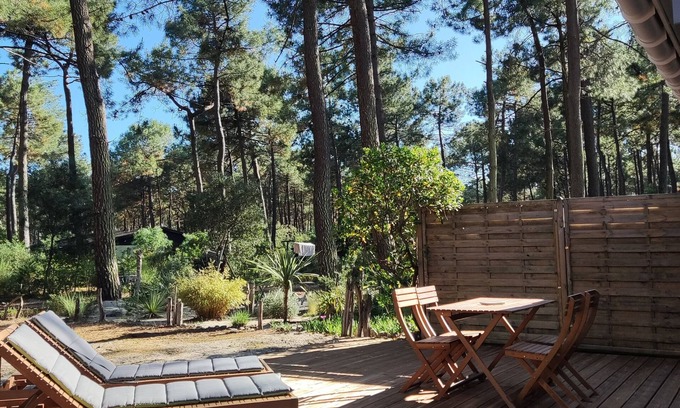 Grayan-Et-L'Hopital Chalet De Esquí | NATURIST STUDIO RENTAL