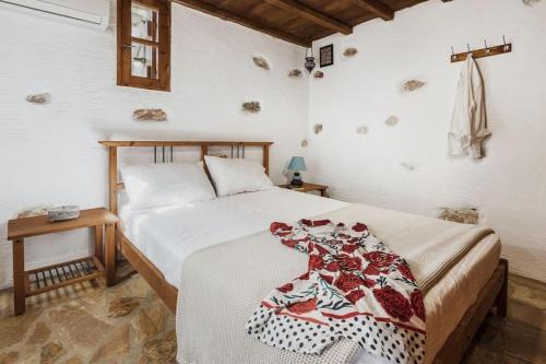 Naxos Casa | Naxos Alyko Traditional Vacation House 'Mitatos'