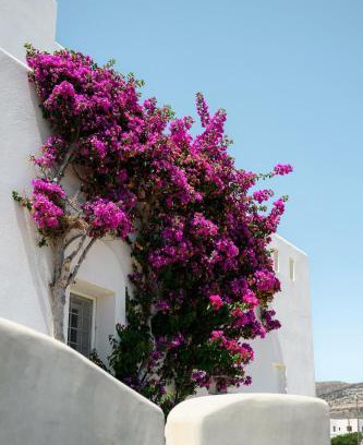Kastraki Casa | Naxos Kastraki Homey Villa with Sea View