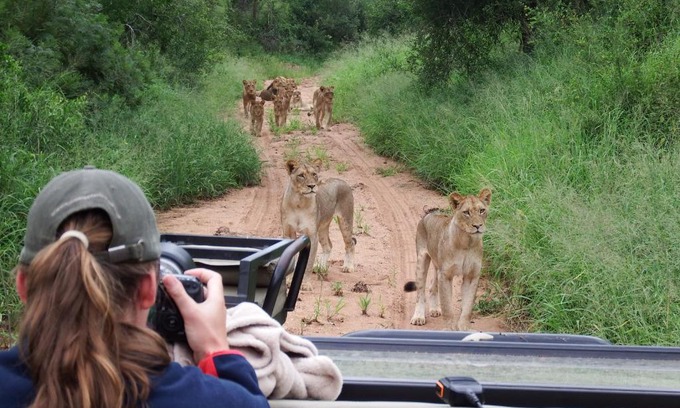 Phalaborwa Otro | NDZUTI BUSH CAMP