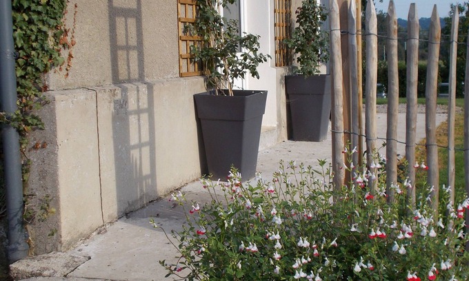 Belle-et-Houllefort Casa | CERCA DE WIMEREUX LODGE GRAN CAPACIDAD 21 PERSONAS EN UNA GRANJA PEDAGÓGICA