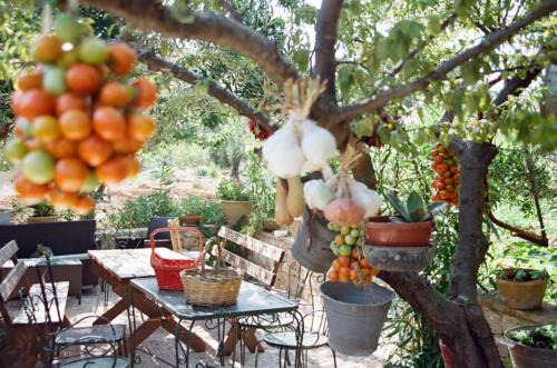 Torre Vado Casa | Nepole Home Holiday