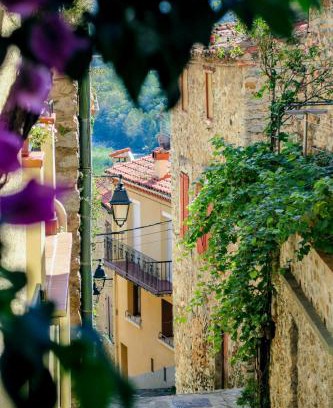 Amelie-les-Bains-Palalda Apartamento | Neptune T2 Meublé de tourisme 3 étoiles