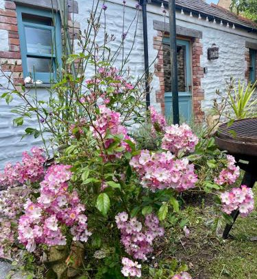 Charlestown Casa | Neptunes Rest