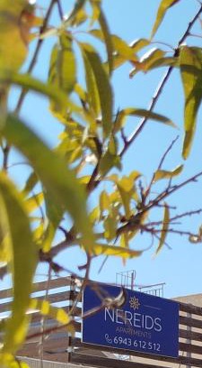 Messini Apartamento | Nereids Apartments-Thetis